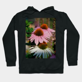 Echinacea Purpurea with Small Butterfly Hoodie